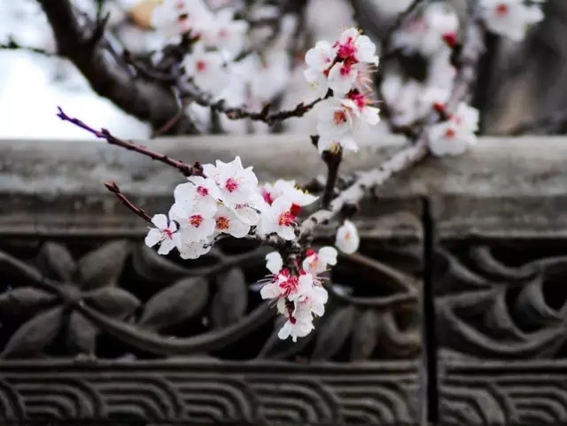 意境东方-最美新中式